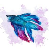 МаргаритаШ