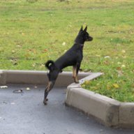 Алексанян А