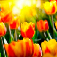 А_Куртасанова