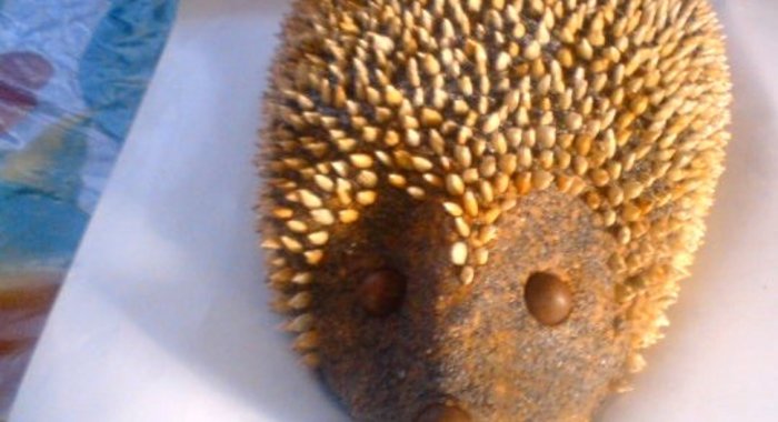 Торт Ежик без выпекания