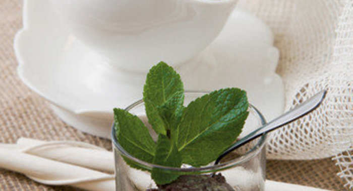 Шоколадный торт с муссом из киви