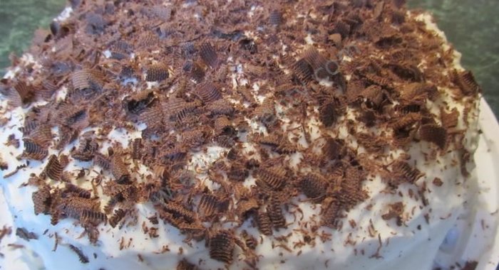 Торт Трухлявый пень