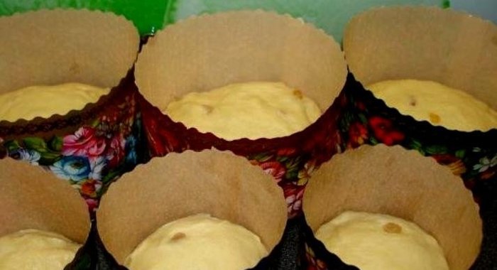 Венское тесто для куличей