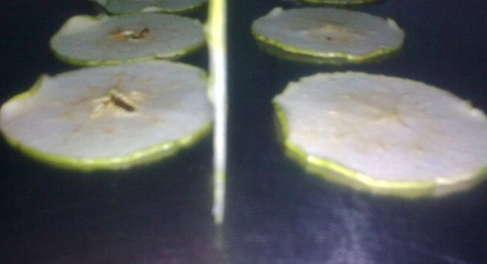 Яблочные чипсы