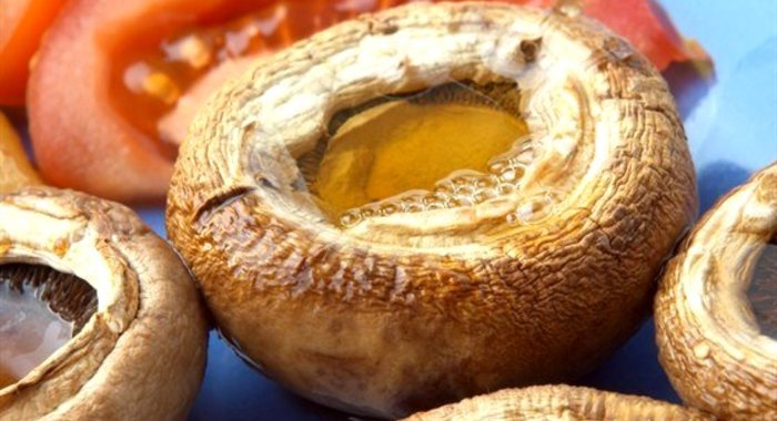 Грибы на кеци