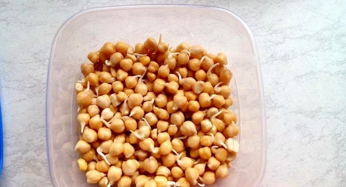 Пророщенный нут