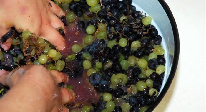 Пеламуши и чурчхела