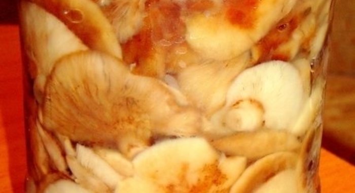 Опята по-домашнему