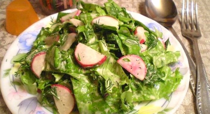 Салат из редиса и зелени