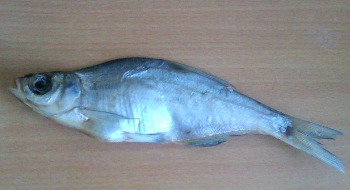 Сушёная вобла