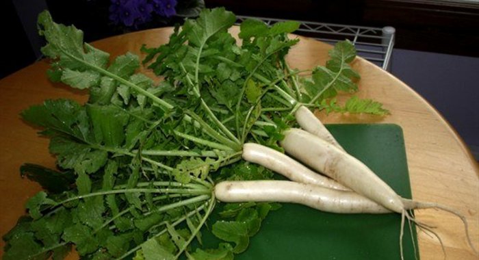 Салат из дайкона с кунжутными семечками