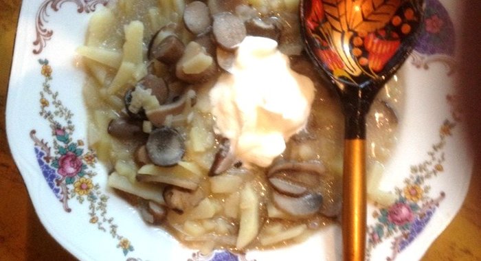 Солянка грибная