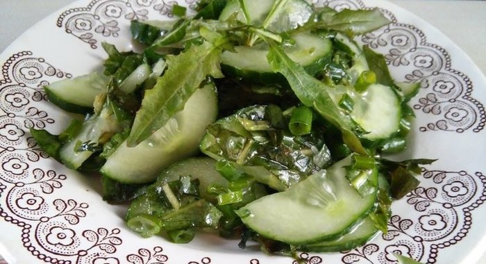 Салат с листьями крапивы и одуванчика