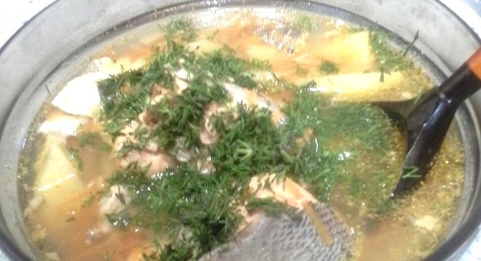 Домашняя уха