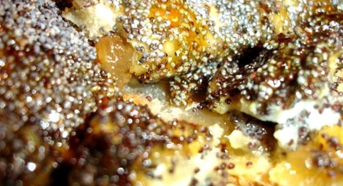 Постный маковый рулет