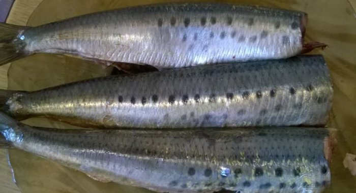 Селедка иваси под шубой