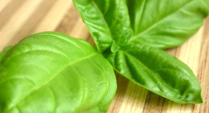 Свежий базиликовый лимонад