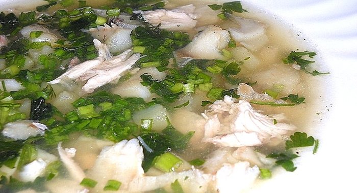 Уха из судака