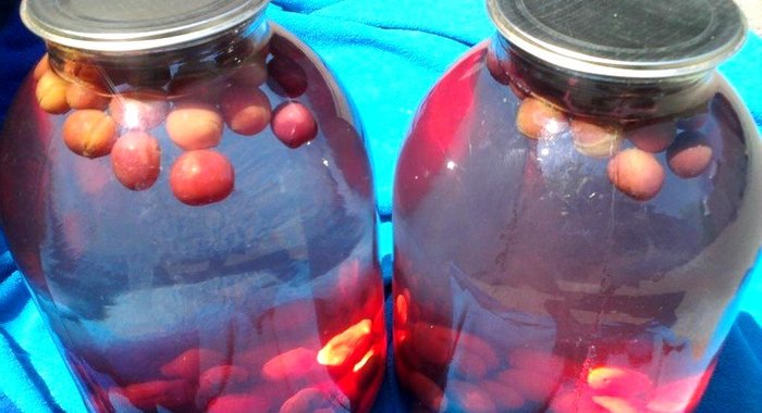 Компот из вишни