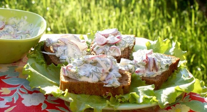 Бутерброды с зеленью и редисом