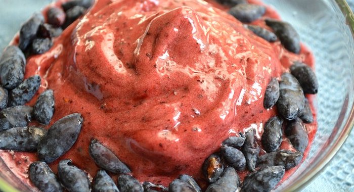 Мягкое банановое мороженое с ягодами жимолости