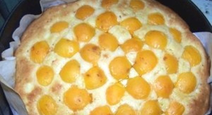 Шарлотка с яблоками и абрикосами