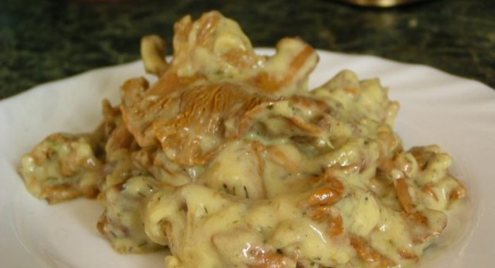 Гуляш из лисичек