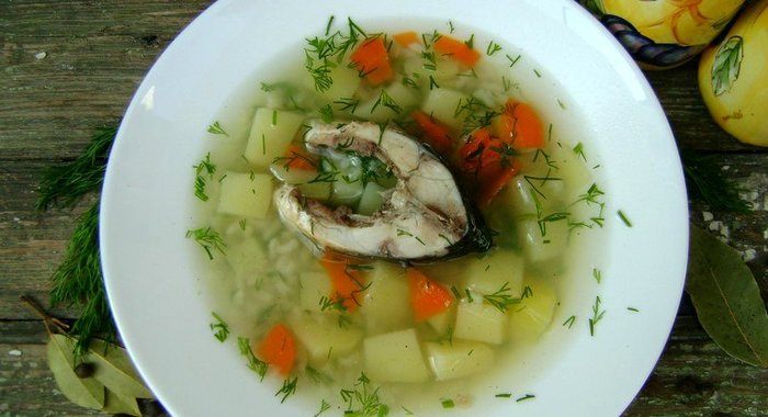 Уха из карпа