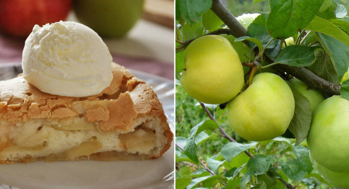 Блинчики из лаваша