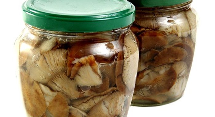 Маринование грибов