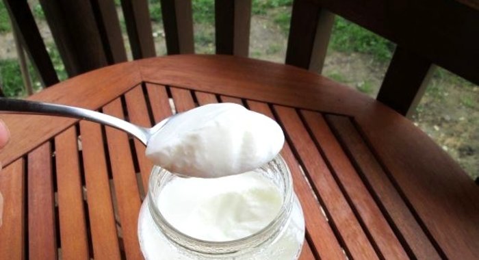 Закваска на катык