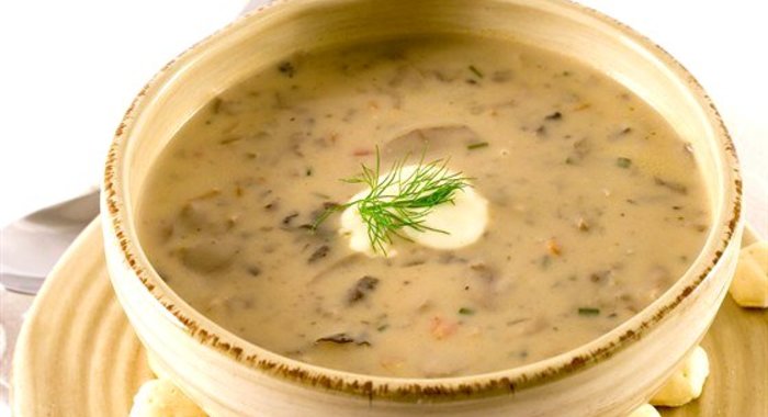 Грибной суп на курином бульоне