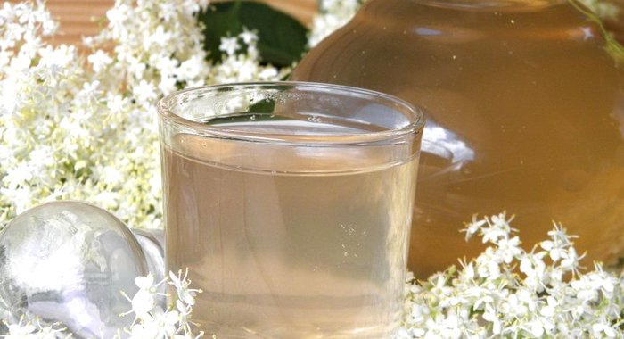 Компот из цветков бузины