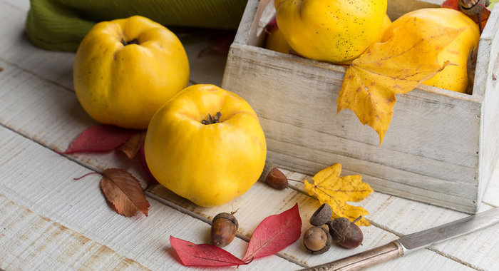 Все, что нужно знать об айве + рецепт джема