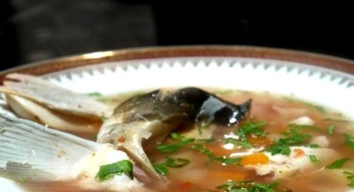 Уха из головы сазана