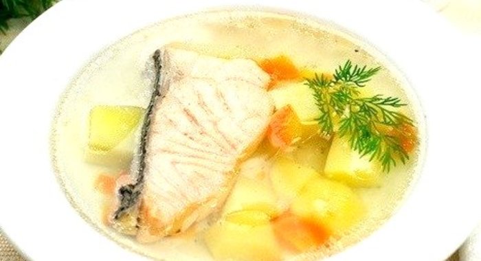 Уха из семги