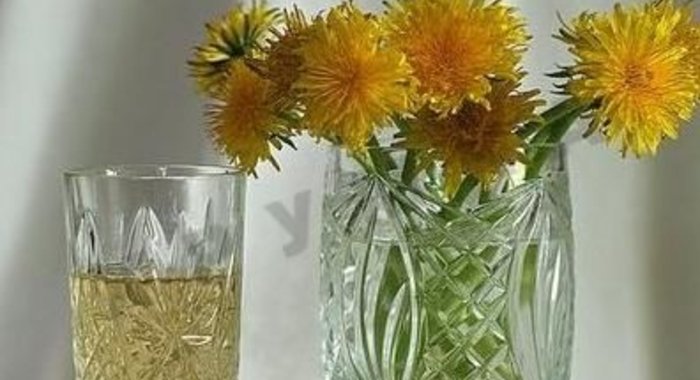 Вино из одуванчиков