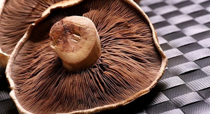 Сушеные грибы в маринаде