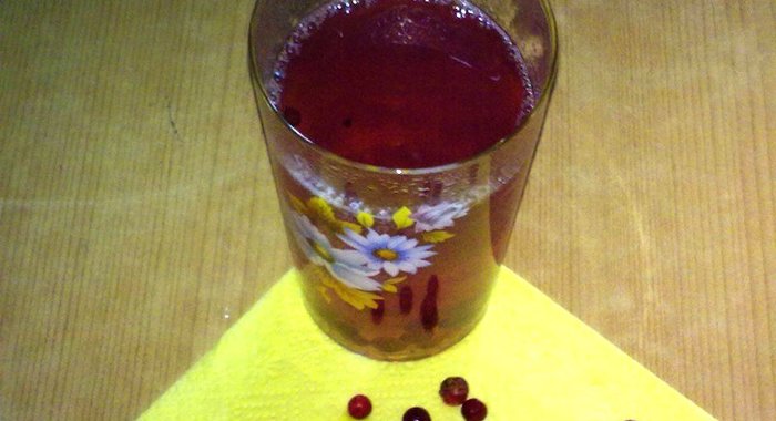 Компот бруснично-персиковый