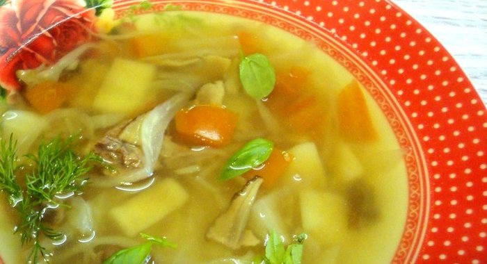 Щи на говяжьем бульоне