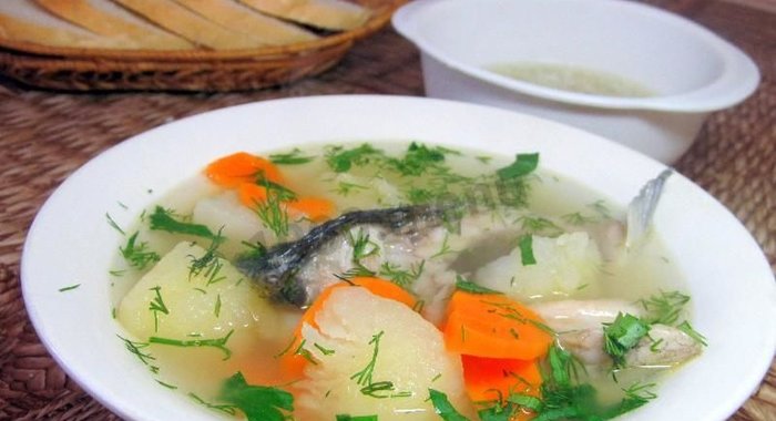 Уха из речной рыбы