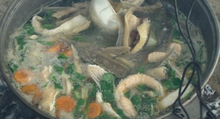 Уха из стерляди и семги