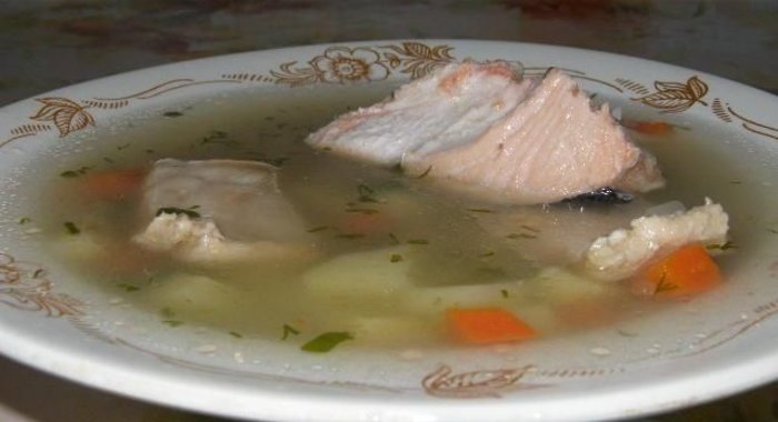 Уха из горбуши