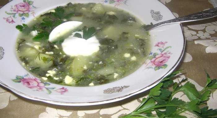 Щи из щавеля