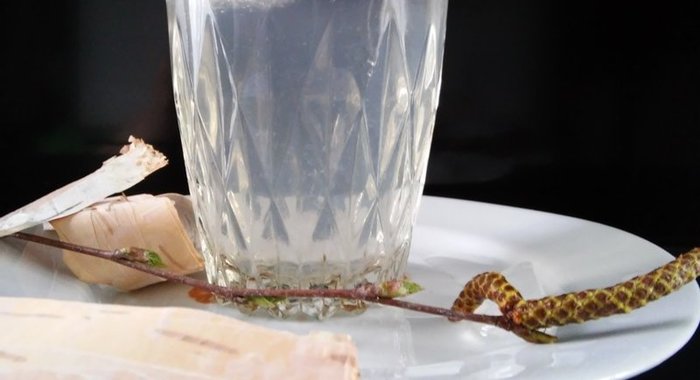 Лимонад из берёзового сока