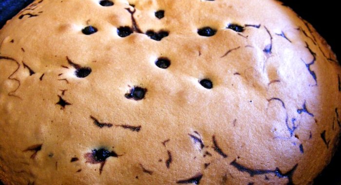 Шарлотка с черникой