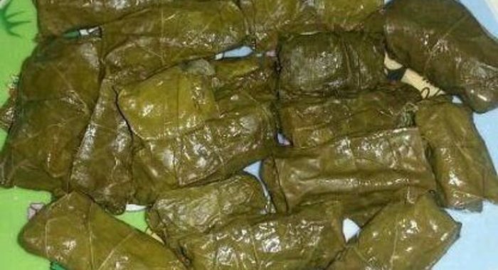 Долма из свежих виноградных листьев