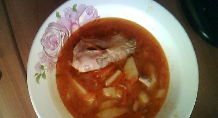 Щи из капусты квашеной