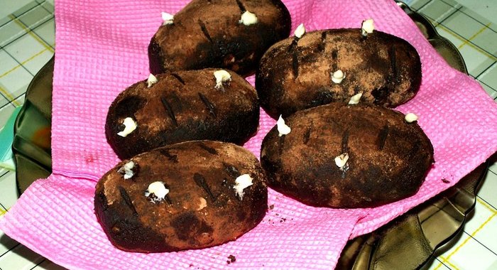 Пирожное Картошка в домашних условиях