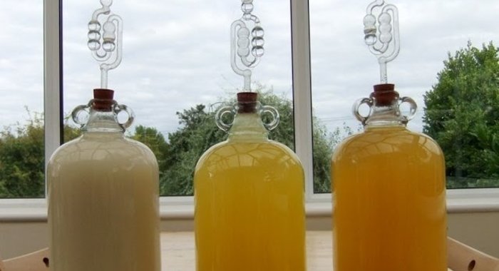 Вино из дыни